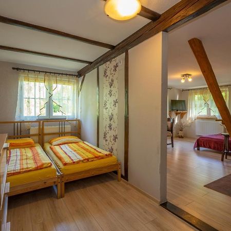 U Robsona Apartment Szklarska Poreba Luaran gambar